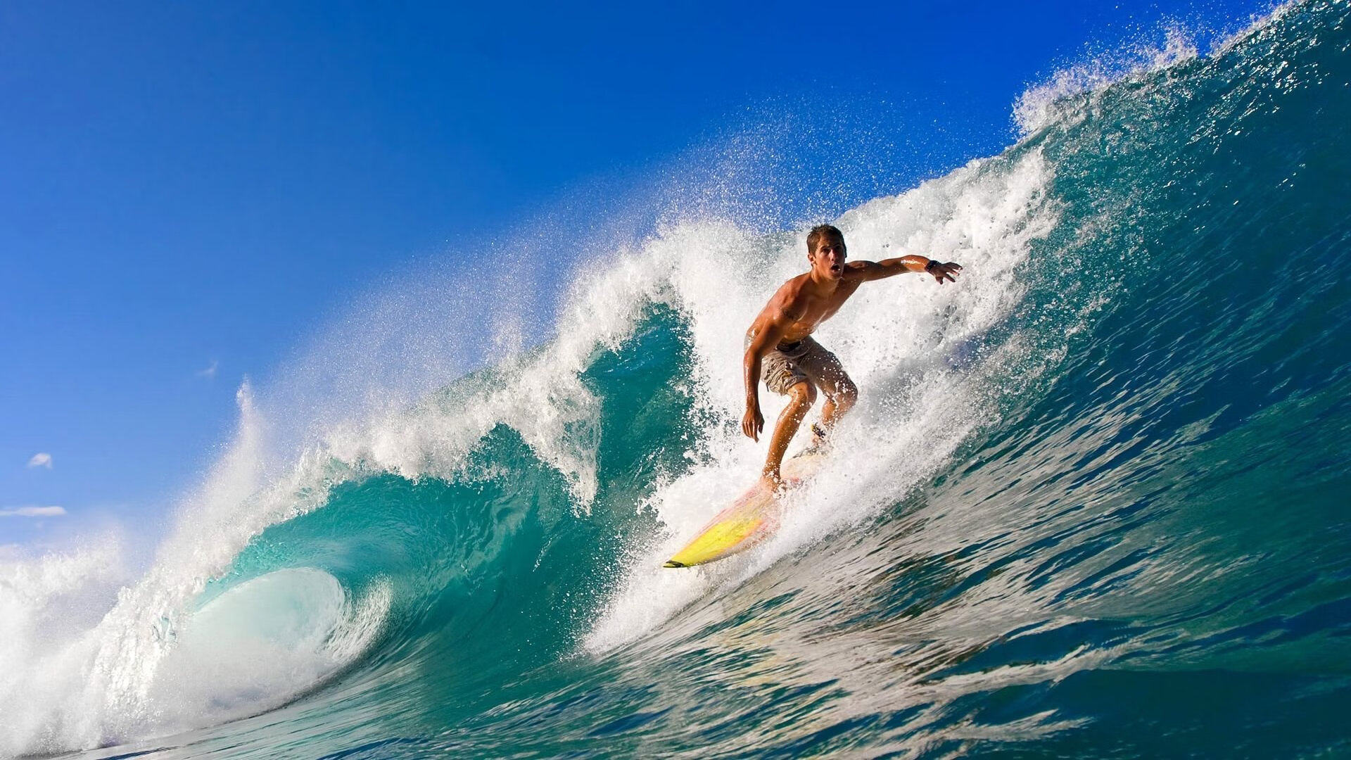 “华金·托比利亚的坚韧精神与防守技术,帮助美洲狮队巩固全球地位”